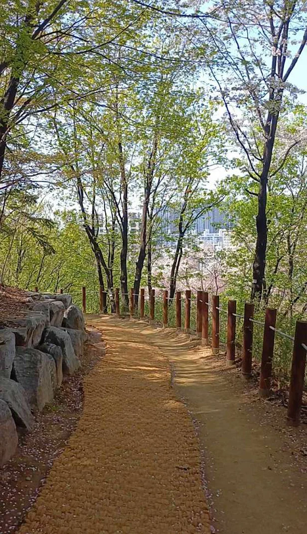 대원공원