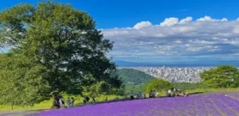 7월 8월 일본 홋카이도 날씨 축제 관광지_15