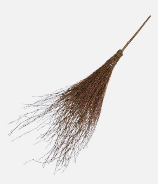 가을 감나무 사진 감나무의 9