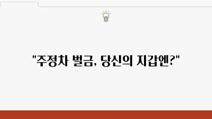 주정차 단속에 대한 정보