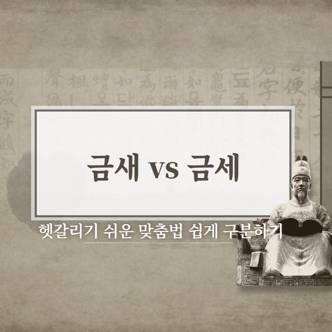  금새 vs 금세 올바른 맞춤법은?? 금세 자주 쓰는 예시!