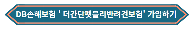DB손해보험 ' 더간단펫블리반려견보험' 가입하기