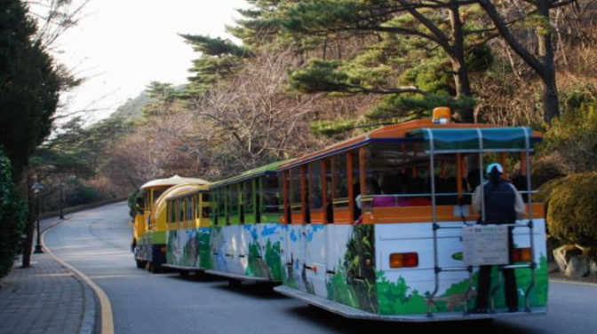 1월 부산 가볼만한곳 추천 ❘ 새해 신년 국내 겨울 여행지 명소 ❘ 가족 실내 데이트