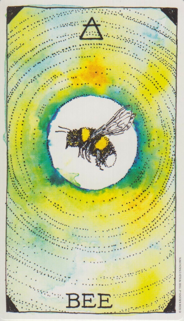  [오라클카드배우기] The wild unknown animal spirit 와일드 언노운 애니멀 스피릿 Bee 벌 해석 및 의미