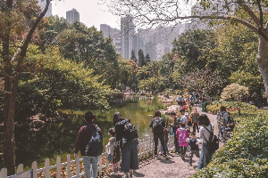 홍콩 여행 추천 홍콩 공원