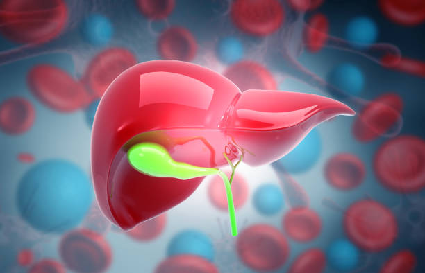 gall bladder and bile duct