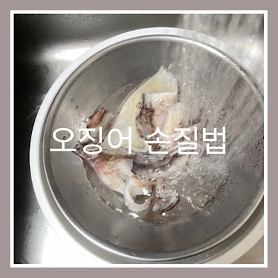  집밥 백선생 오징어 손질법