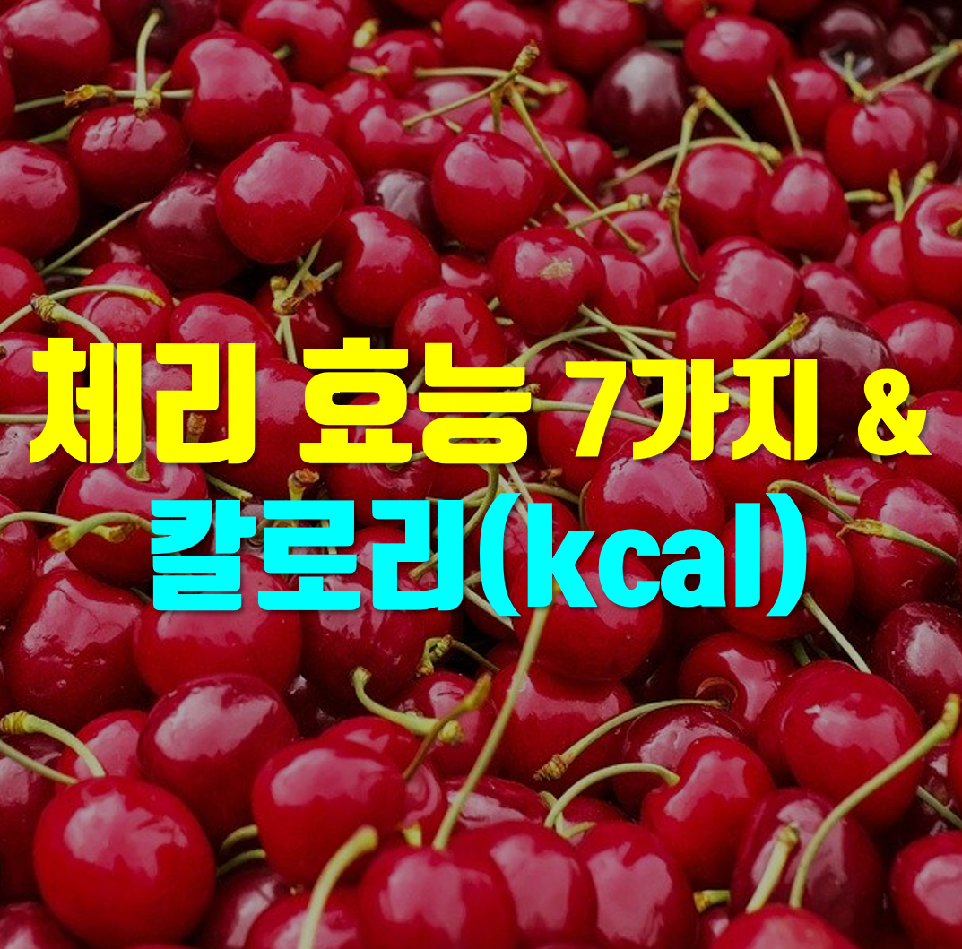  체리 효능 및 체리 칼로리 알고 드세요!