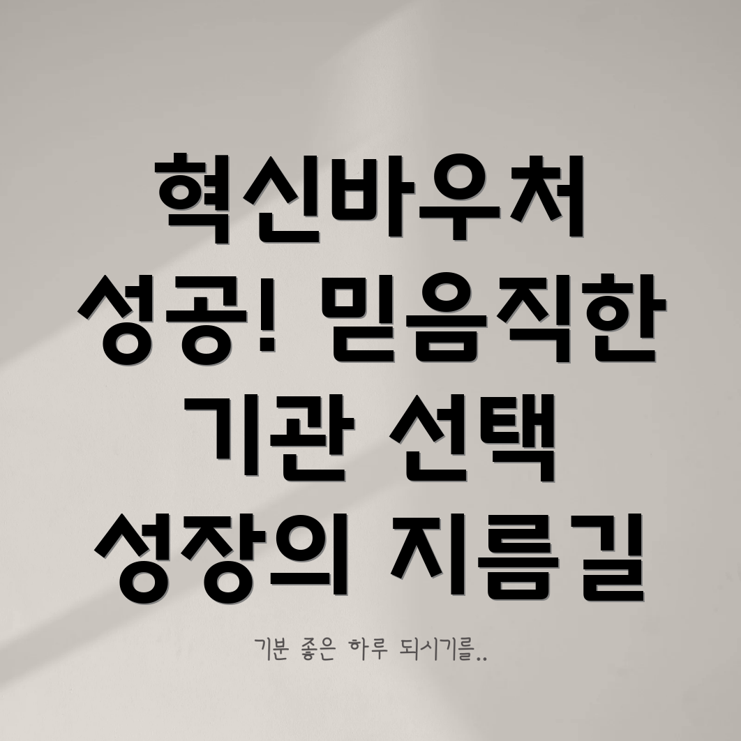 혁신바우처 수행기관