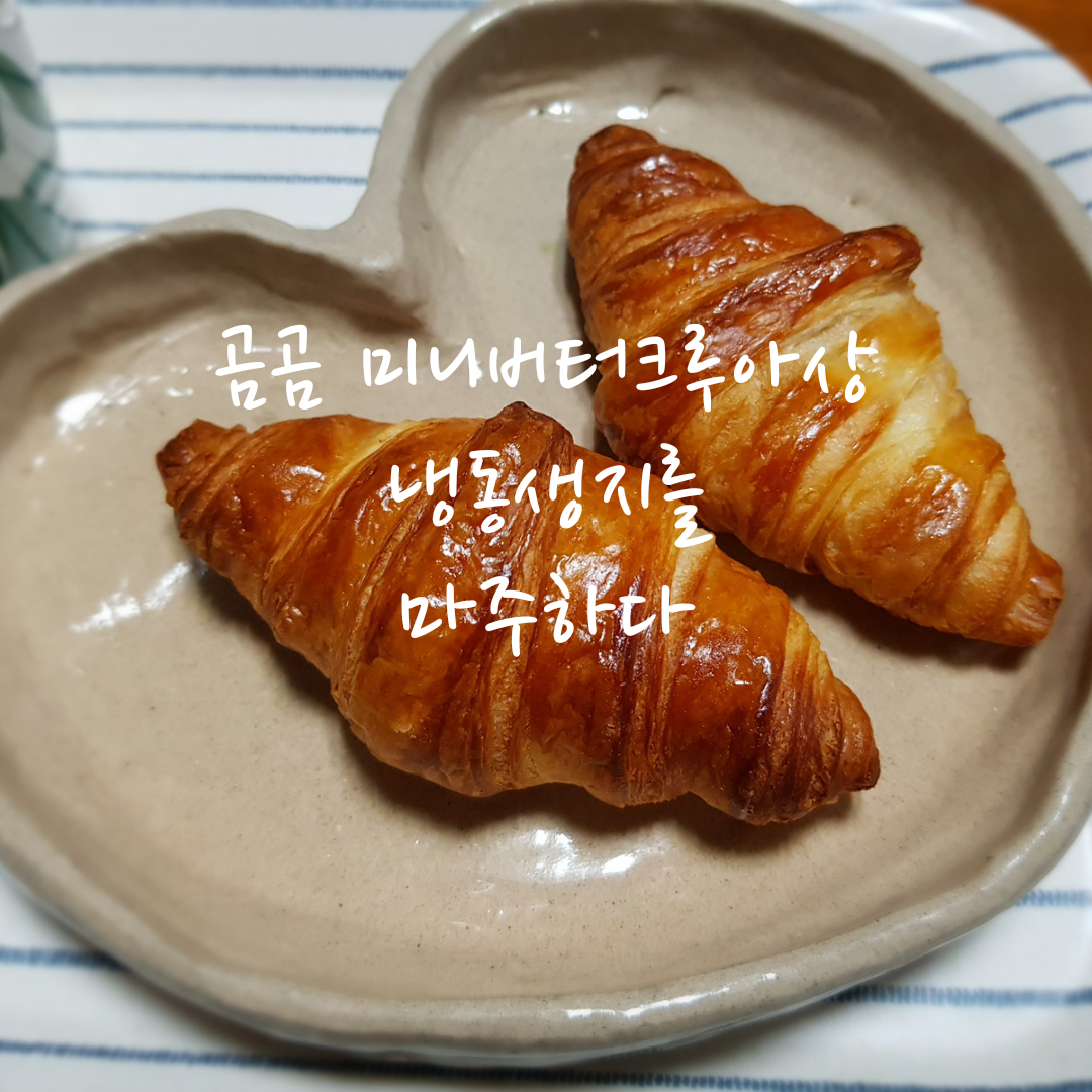  곰곰 미니버터크루아상 냉동생지 이런거였구나