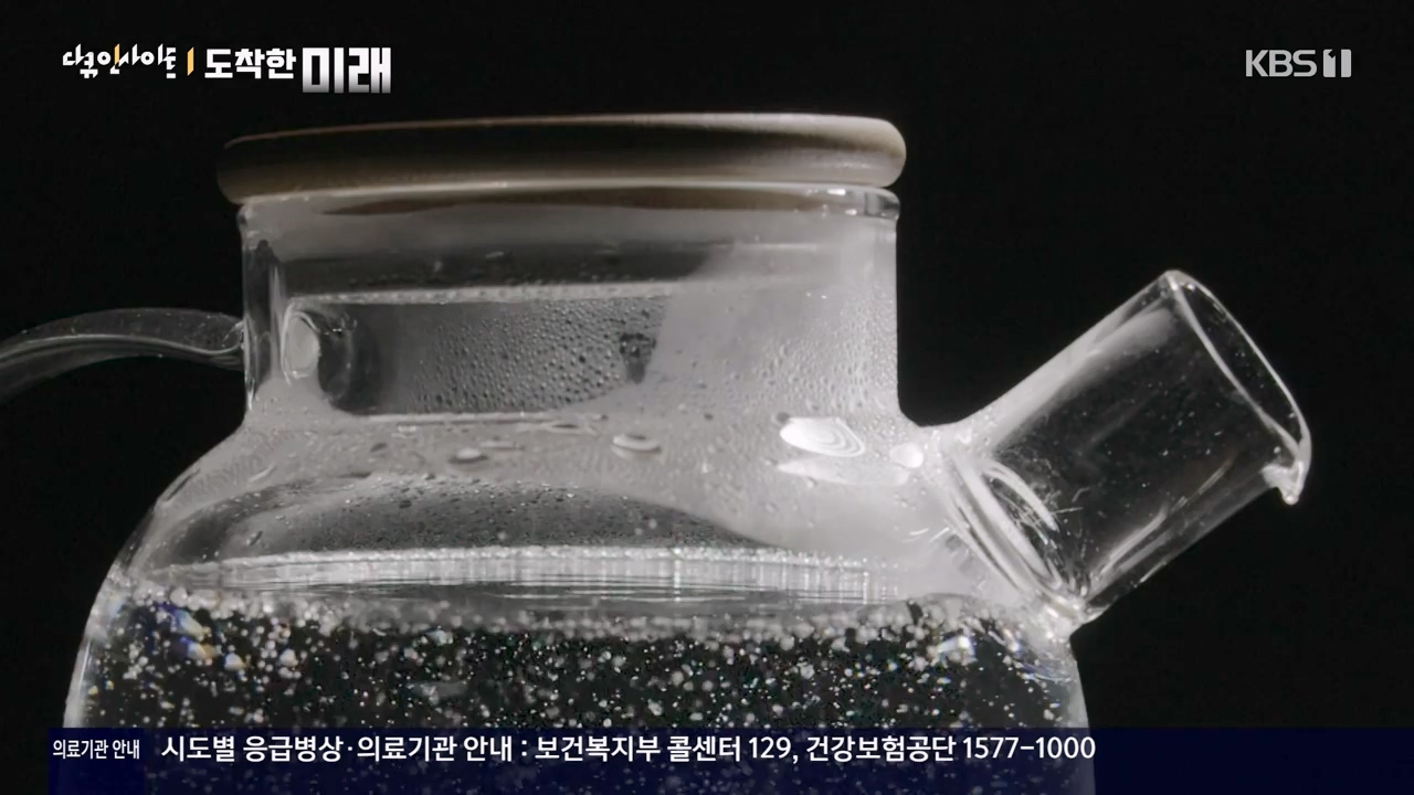 다큐 인사이트.E185.240419p-NEXT.mp4_20240420_161124.618.jpg