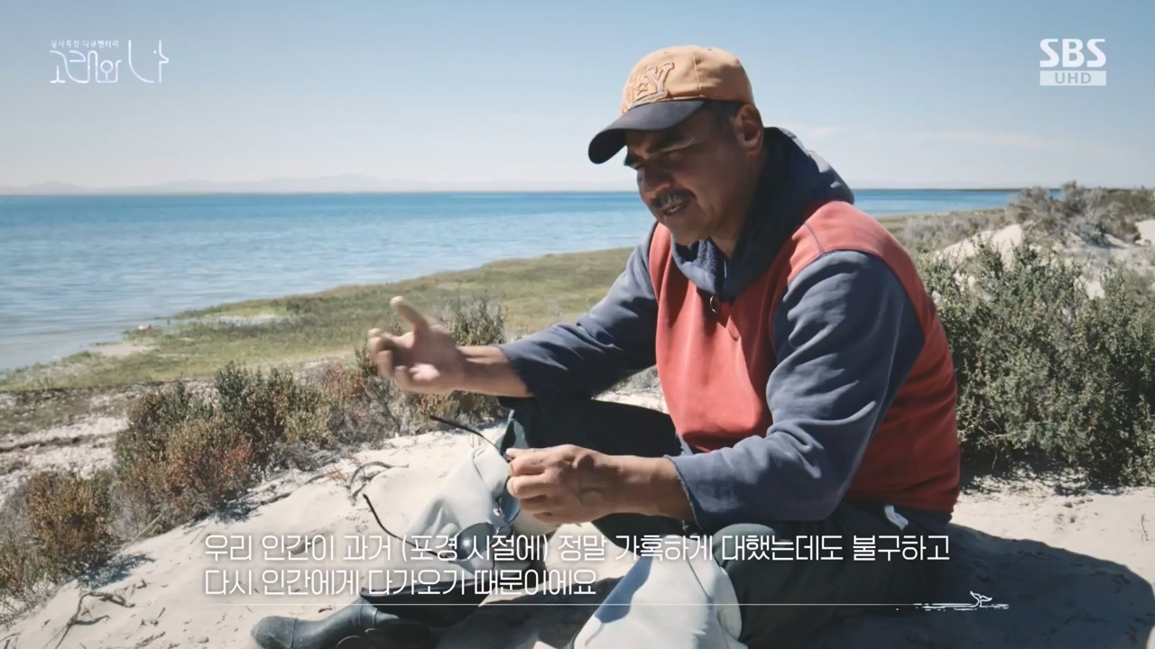 창사특집 다큐멘터리 고래와 나.E02.231126p-NEXT.mp4_20231126_163220.472.jpg