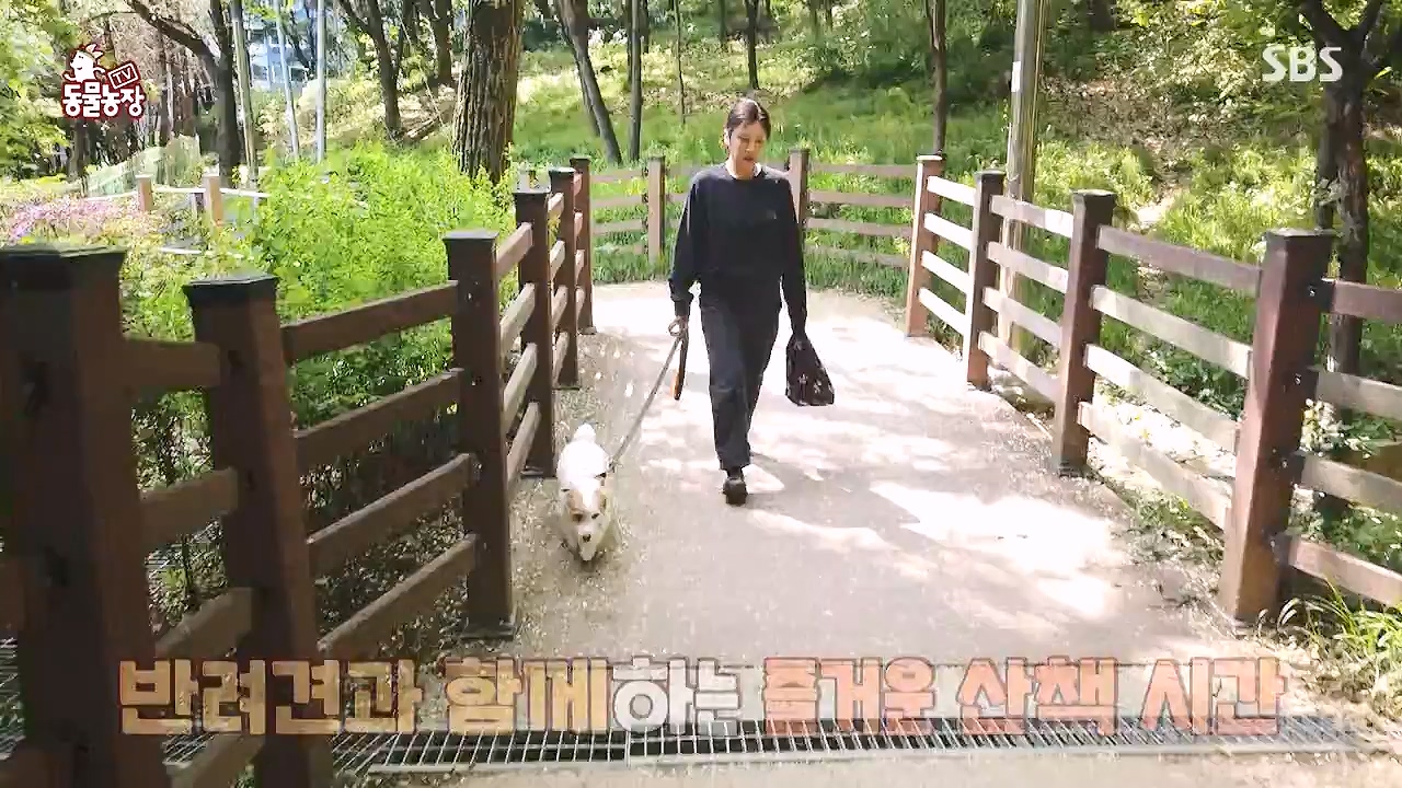 TV 동물농장.E1177.240624p-NEXT.mp4_20240623_163752.765.jpg