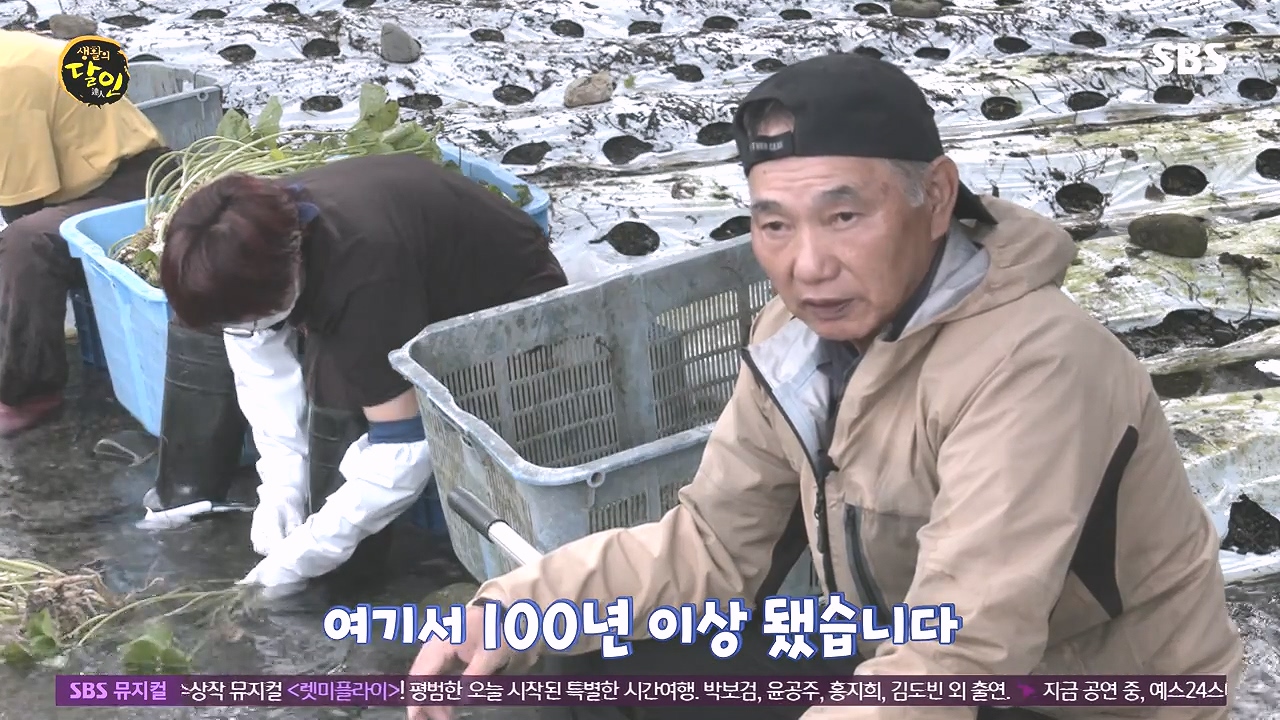 생활의 달인.E908.231017p-NEXT.mp4_20231017_195942.507.jpg