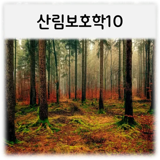 산림보호학10-숲