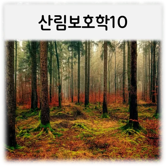  [산림보호학10]