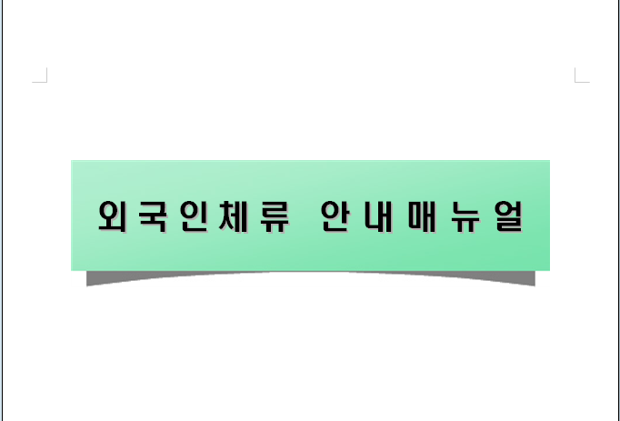  외국인체류 허가 신청 일반(비자종류, 유의사항, 공통사항)