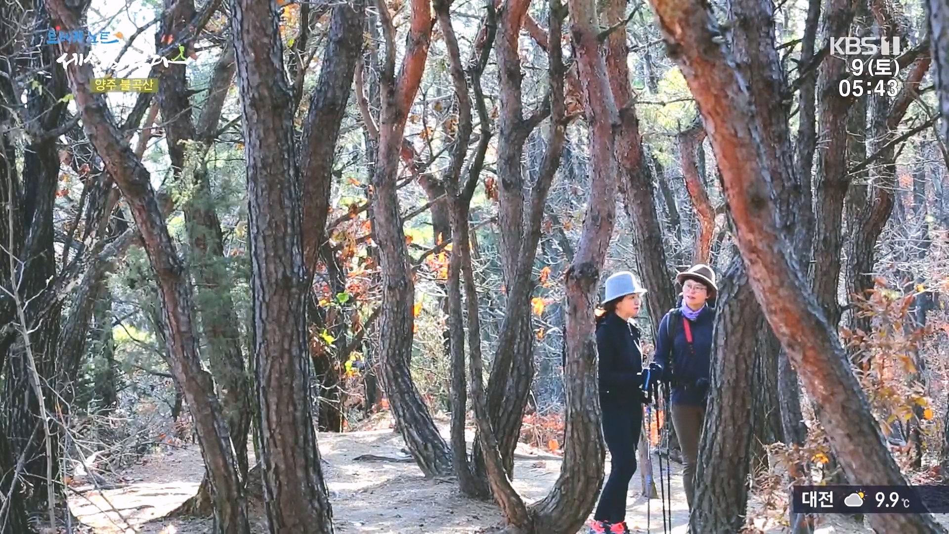 트레킹노트 세상을 걷다.E298.231209p.H264-F1RST.mp4_20240105_204647.221.jpg