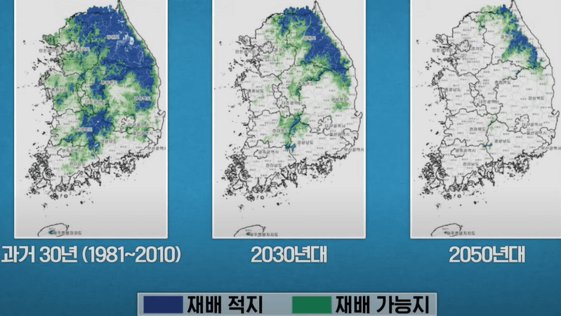 연도별 사과 재배 가능지