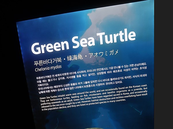 수족관 교육