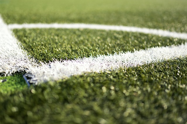 축구장 코너킥 라인