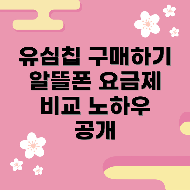 유심칩 구매 안내