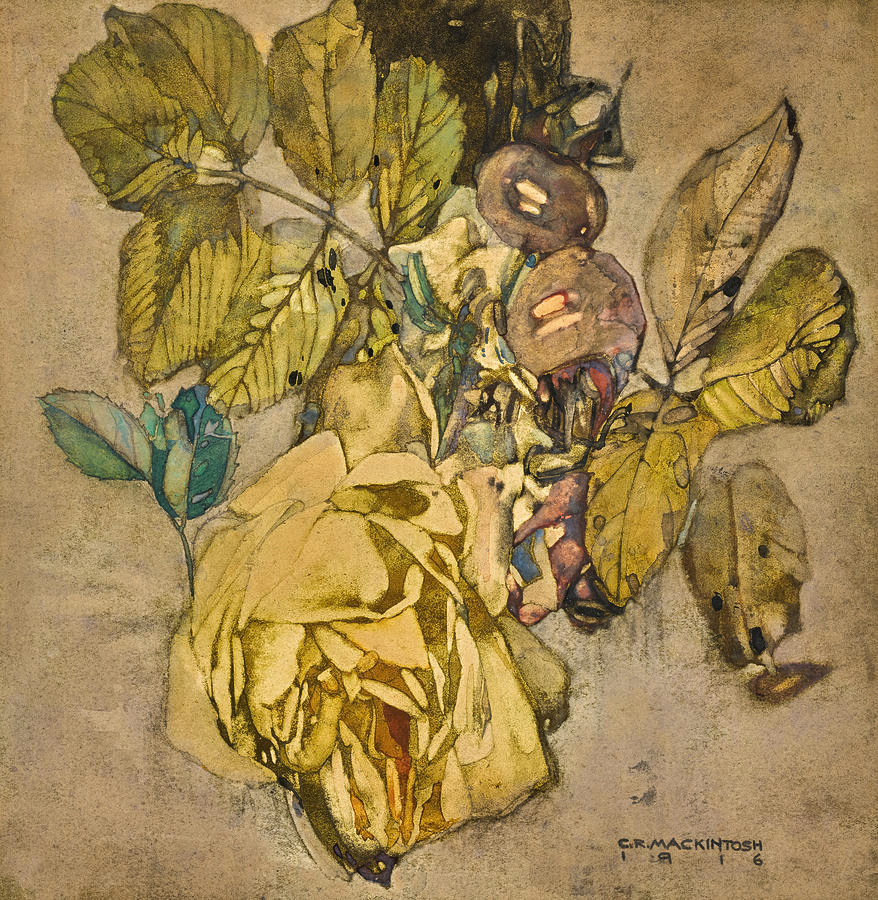 찰리 레니 매킨토시(Charles Rennie Mackintosh), 영국, 화가, 1868-1928