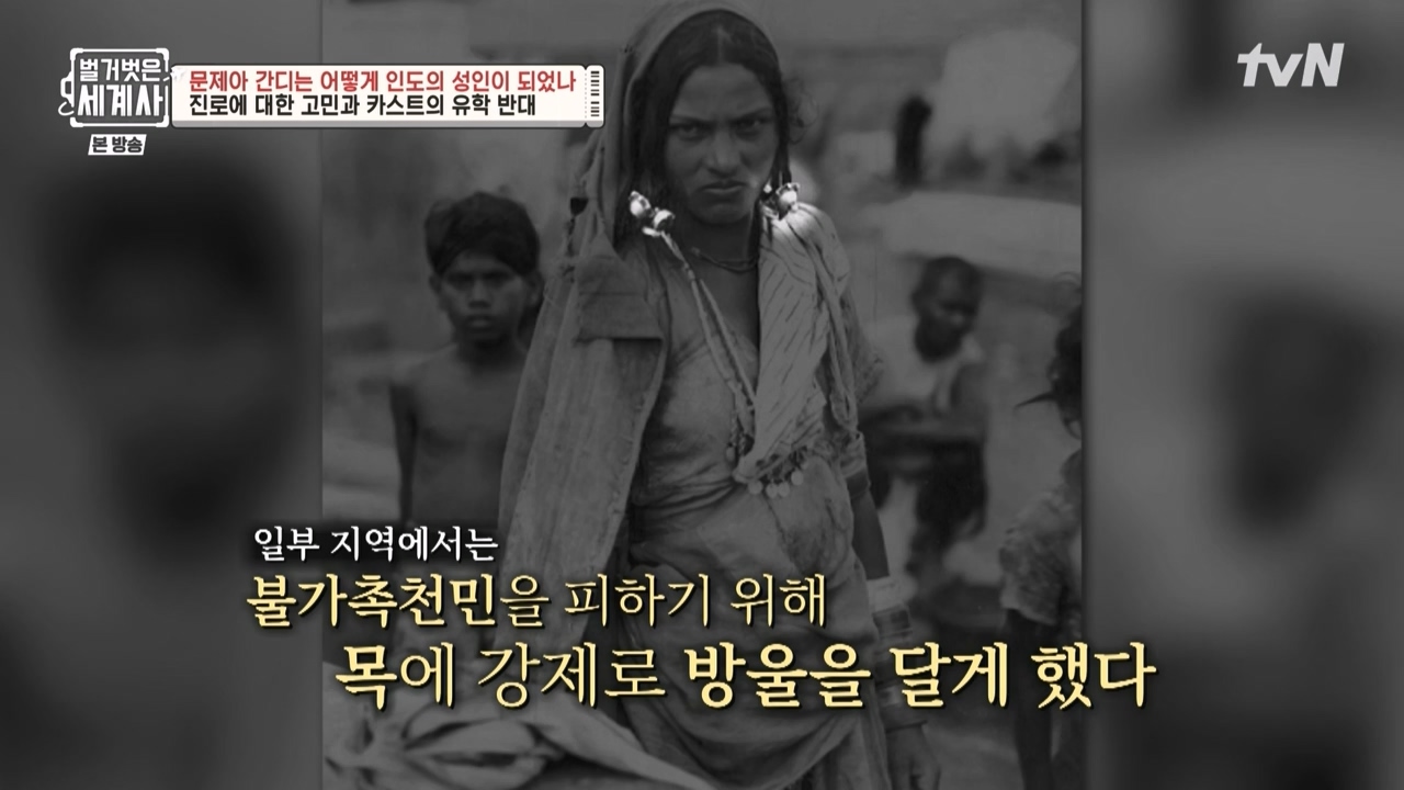 벌거벗은 세계사.E92.230329p-NEXT.mp4_20230425_203913.172.jpg