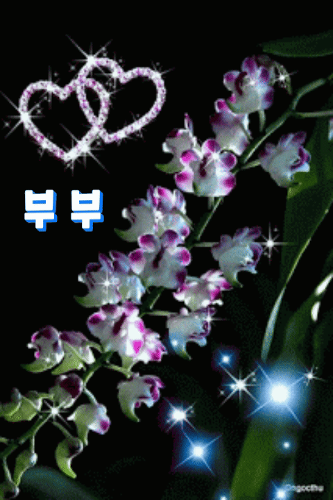  부부란?
