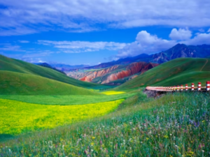 알츠하이머 초기 증상