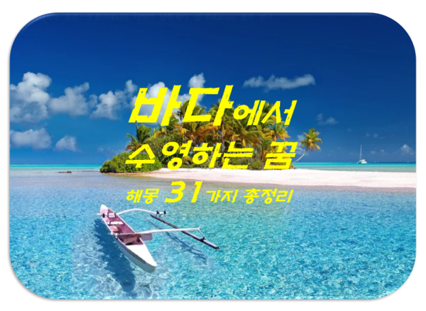 바다에서 수영하는 꿈, 바닷물이 에메랄드빛으로 화려하게 보이는 꿈 해몽 31가지 총정리