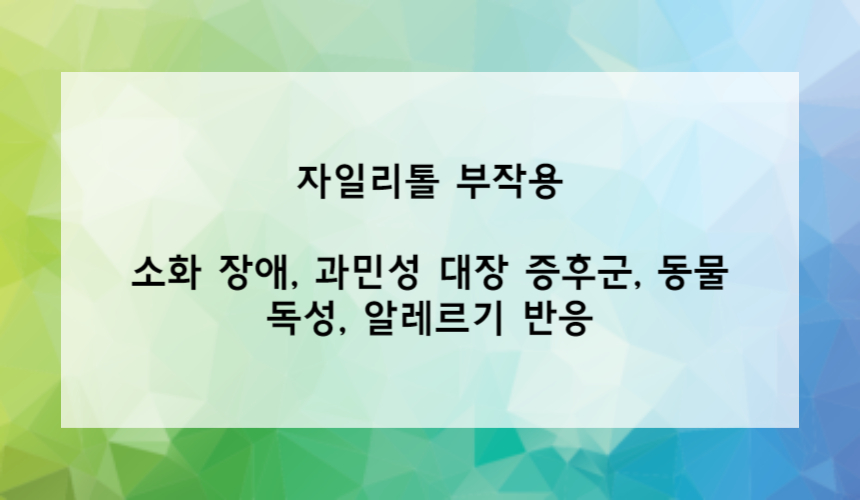 자일리톨의 부작용