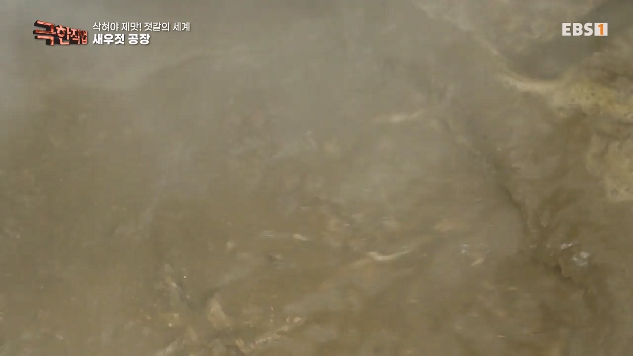 TV - 전 국민의 평생학교 EBS삭혀야 제맛! 젓갈의 세계.mp4_20231125_190845.336.jpg
