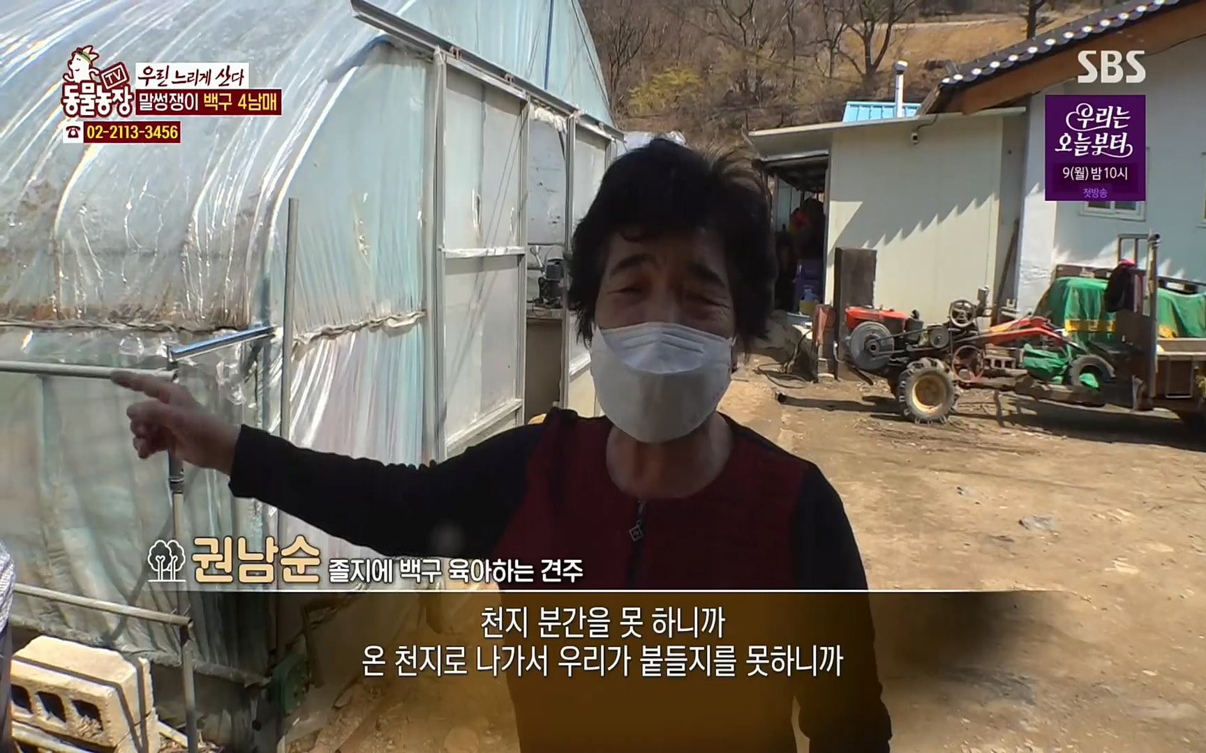 TV 동물농장.E1067.220501p.H264-F1RST.mp4_20220501_183921.681.jpg