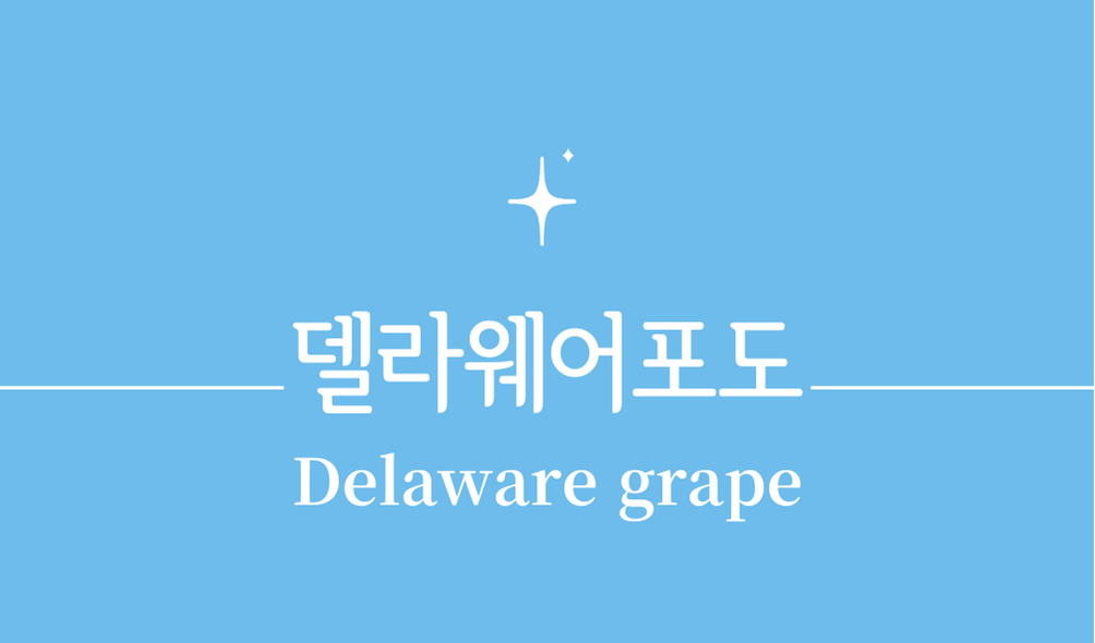 '델라웨어포도(Delaware grape)'