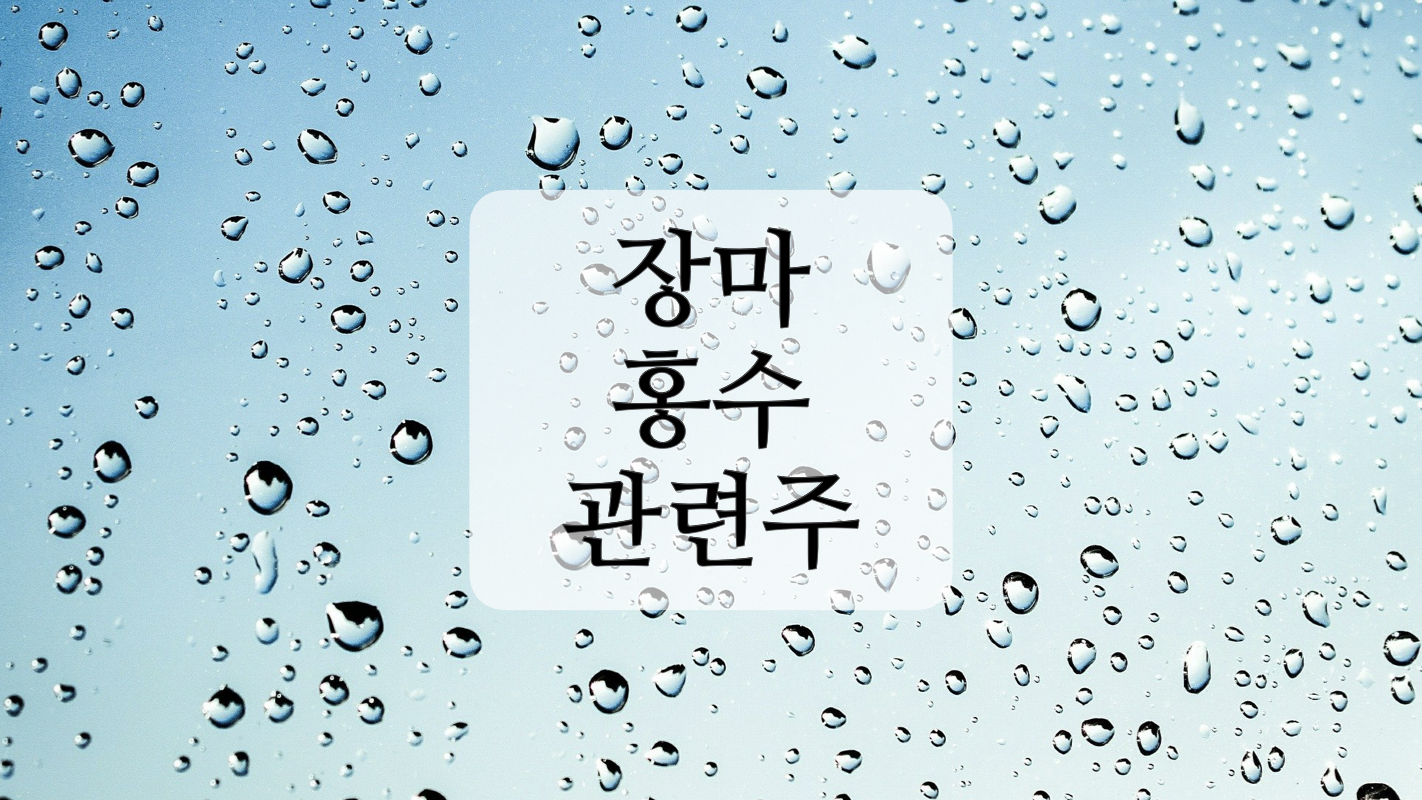  홍수, 장마 관련주+