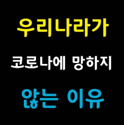  우리나라가 코로나에 망하지 않은 이유