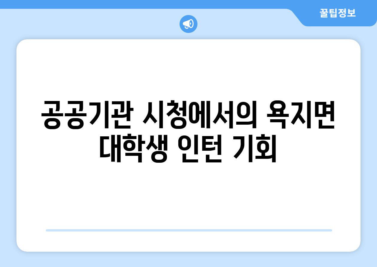 공공기관 시청에서의 욕지면 대학생 인턴 기회