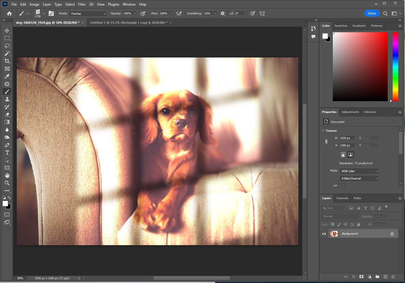 인공 빛 밝게 만든 사진