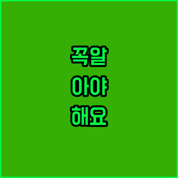2024년 새단장 오픈 호텔? 시안 