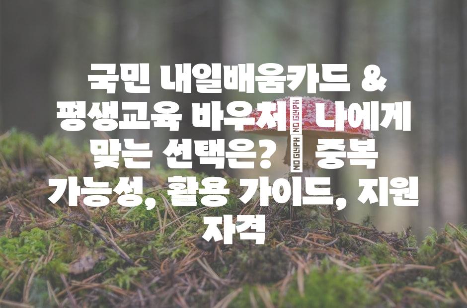 샘플 (42)
