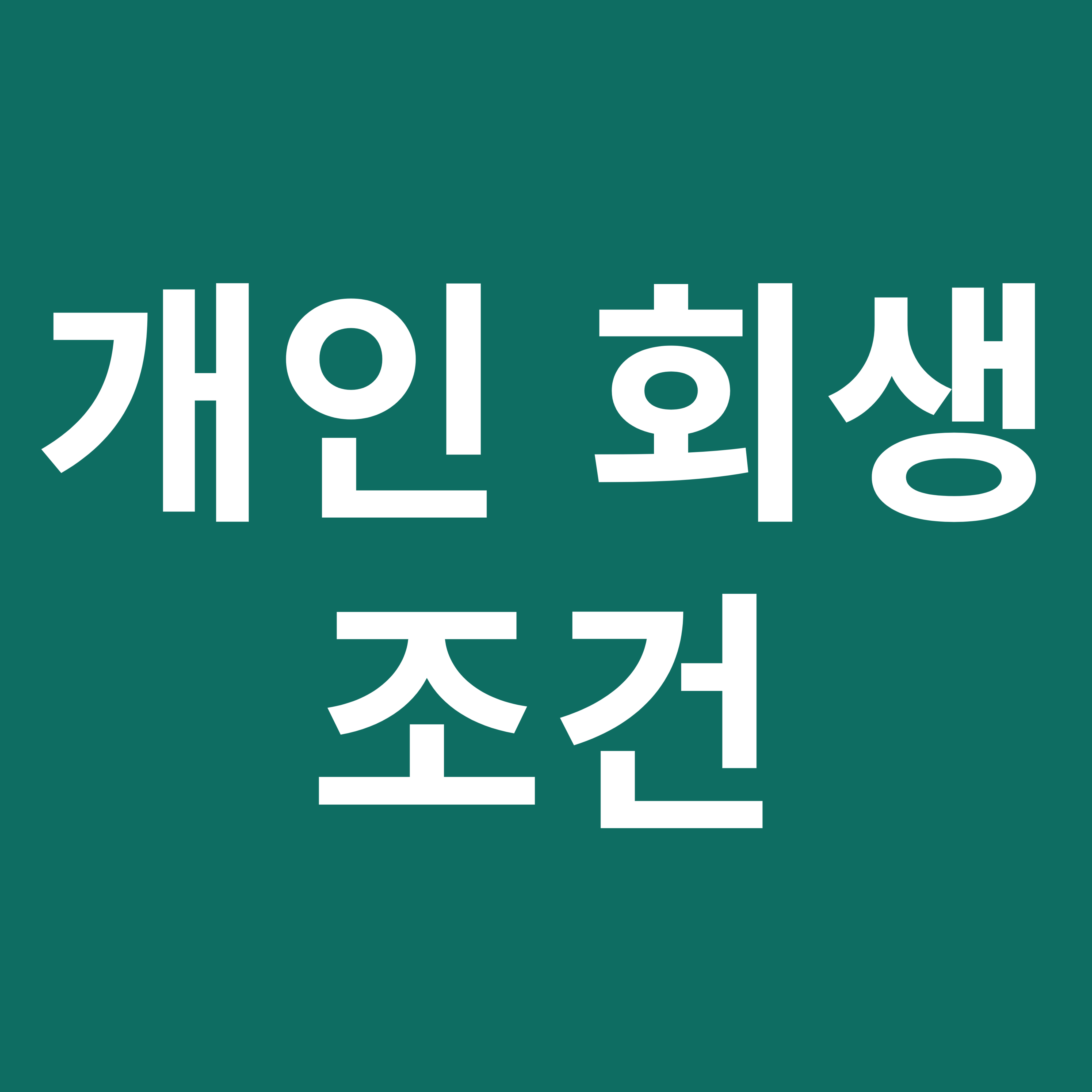 개인 회생 조건