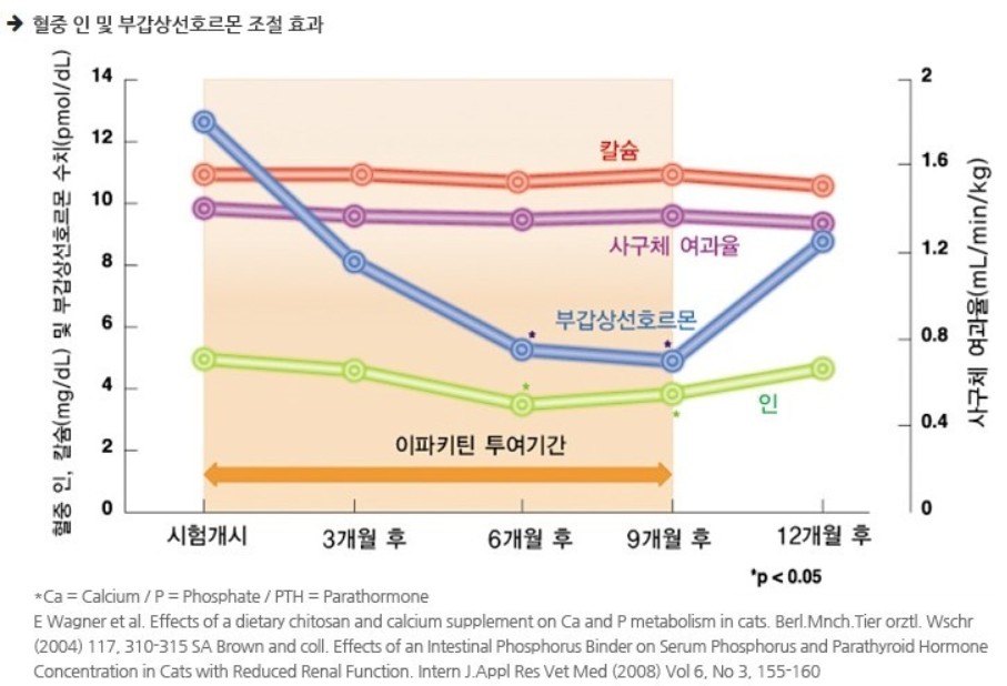 이파키틴 효과