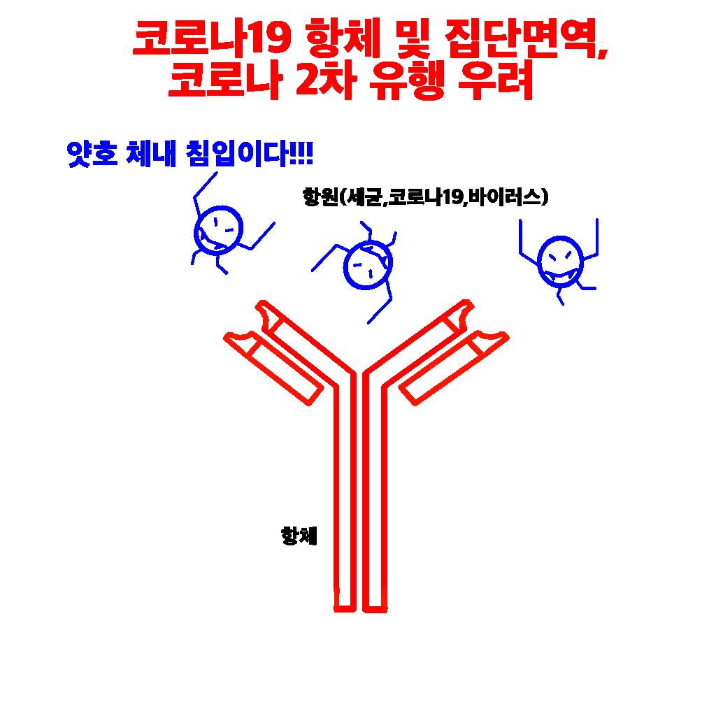 코로나19 항체 및 집단면역, 코로나 2차 유행 우려