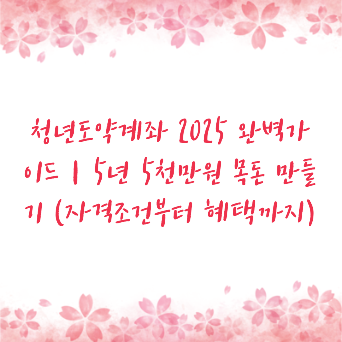 청년도약계좌 2025 완벽가이드｜5년 5천만원 목돈 만들기 (자격조건부터 혜택까지)