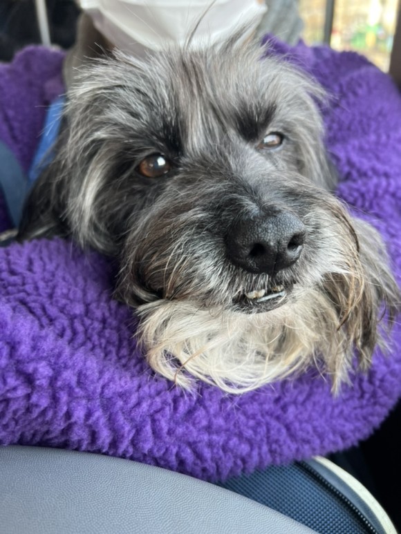 김선생 , 삼겹살, 헬카페 더치 브루