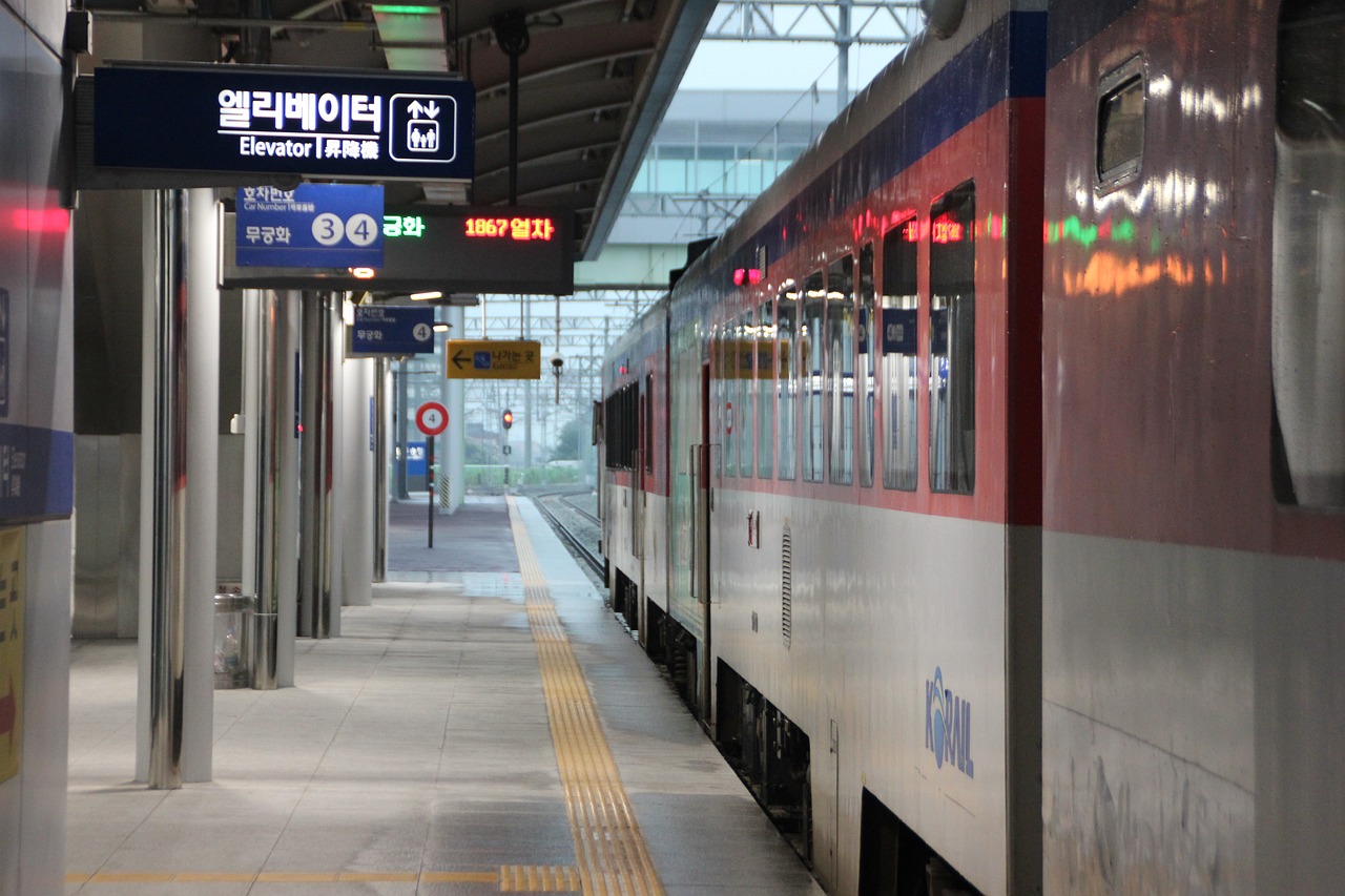 K 패스