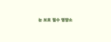  눈을 보호하고 시력 향상을 위한 필수 영양소