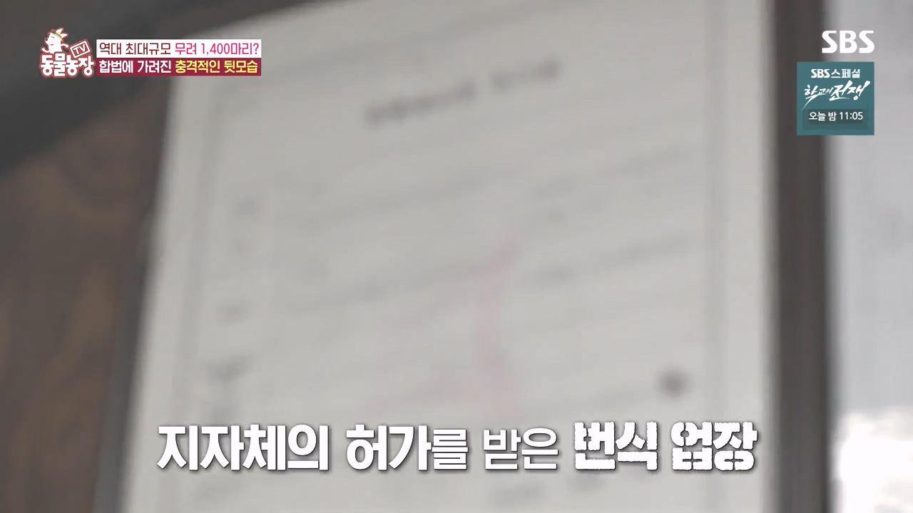 TV 동물농장.E1142.231023p-NEXT.mp4_20231022_171953.093.jpg