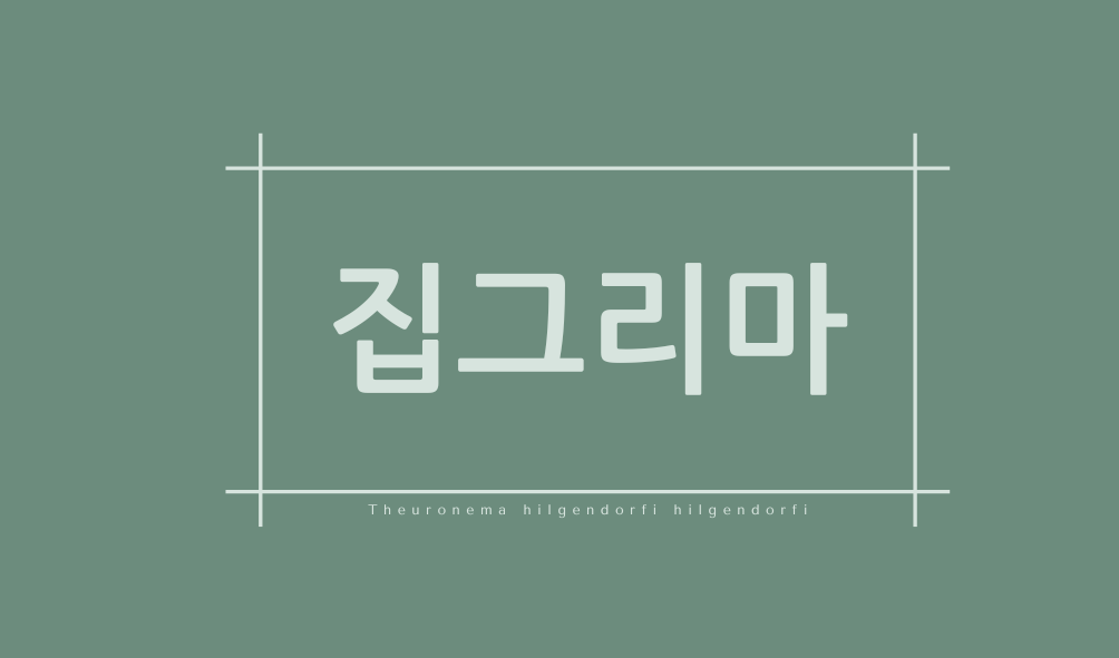 집그리마(Theuronema hilgendorfi hilgendorfi)